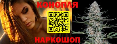 каннабис Новодвинск