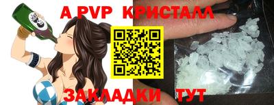 СК Новозыбков