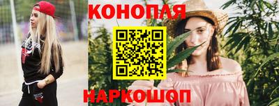 СК Новозыбков