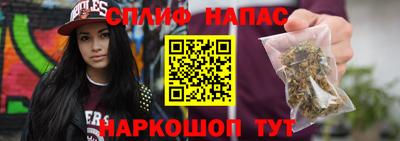 СК Новозыбков