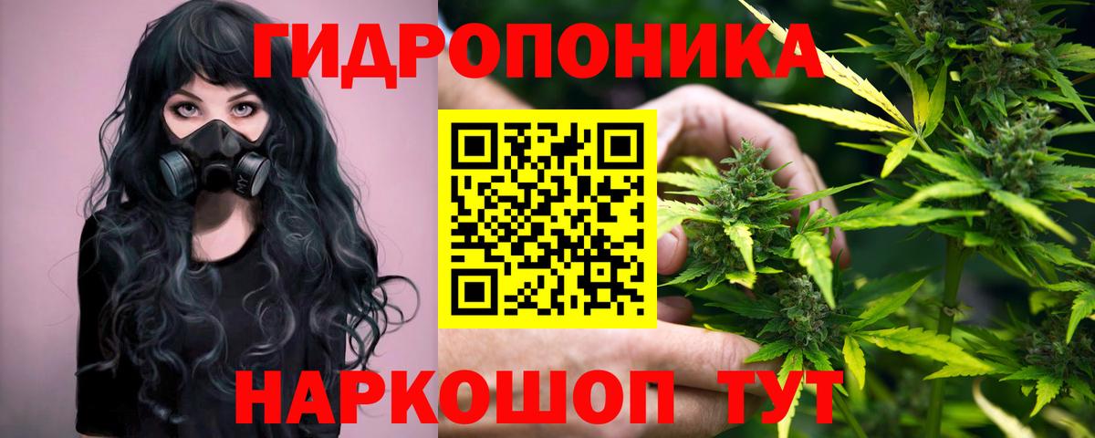 Канабис гибрид Улан-Удэ